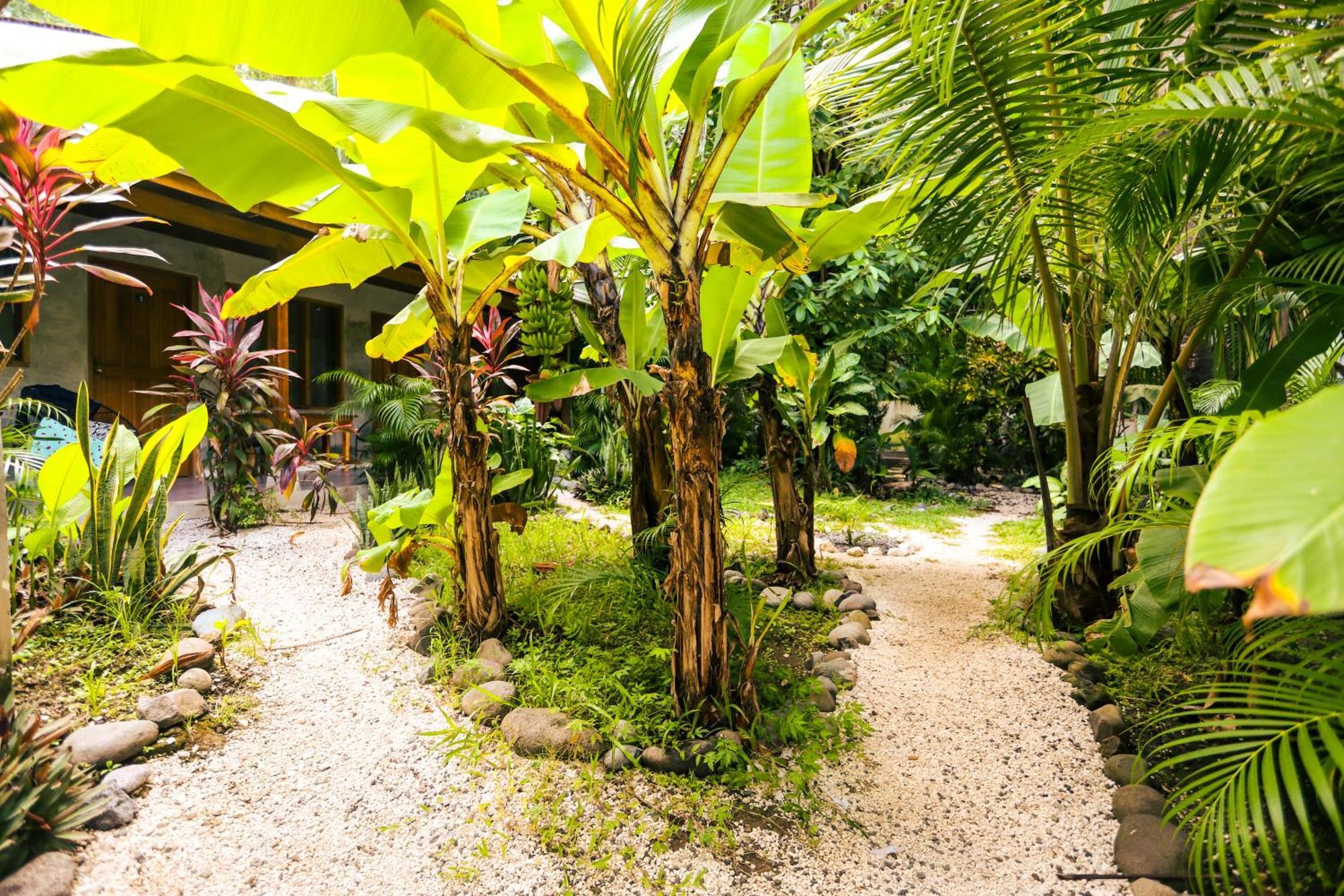 Cabinas Playa Surf Hostel Playa Santa Teresa  Eksteriør bilde