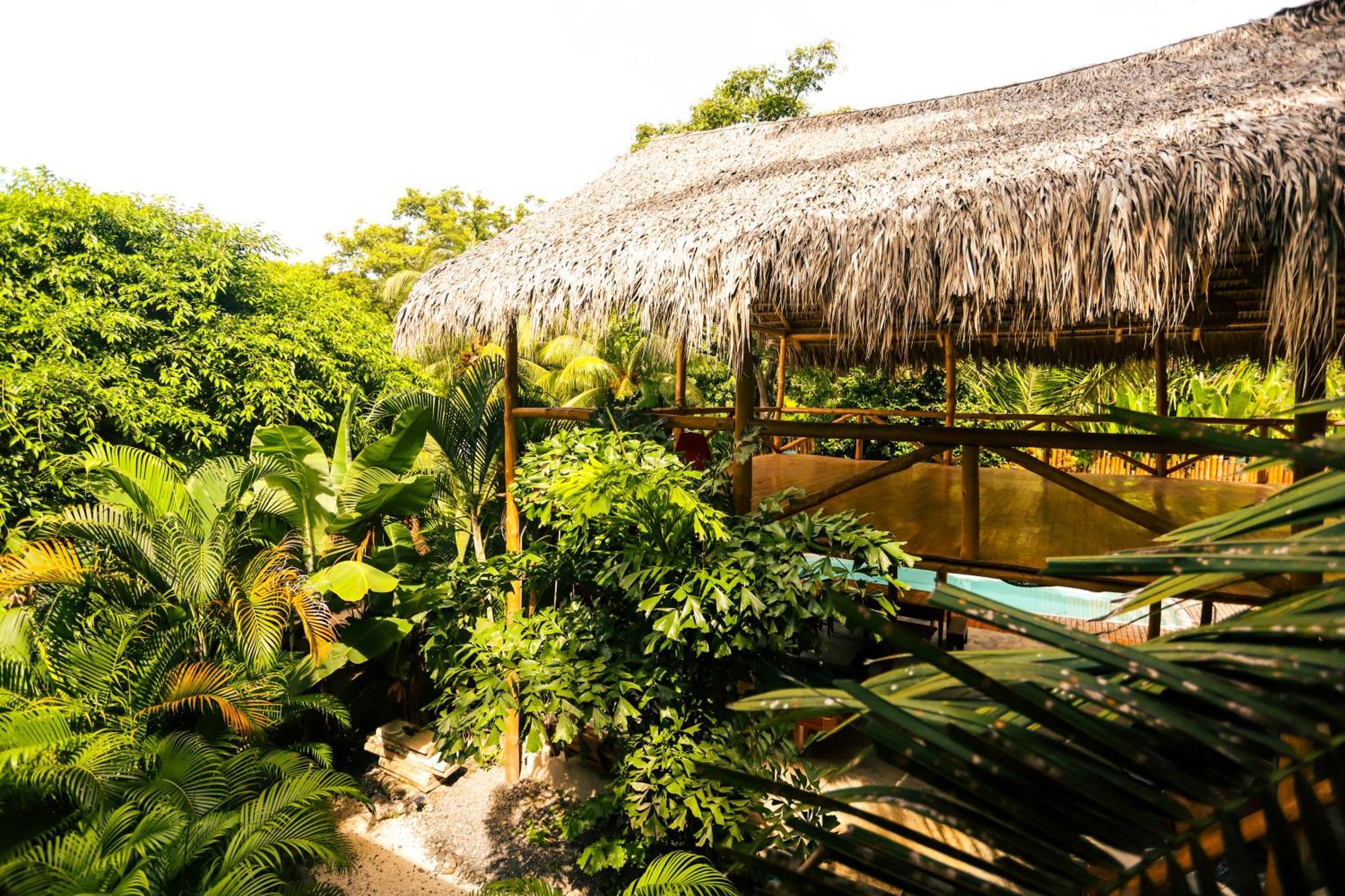 Cabinas Playa Surf Hostel Playa Santa Teresa  Eksteriør bilde