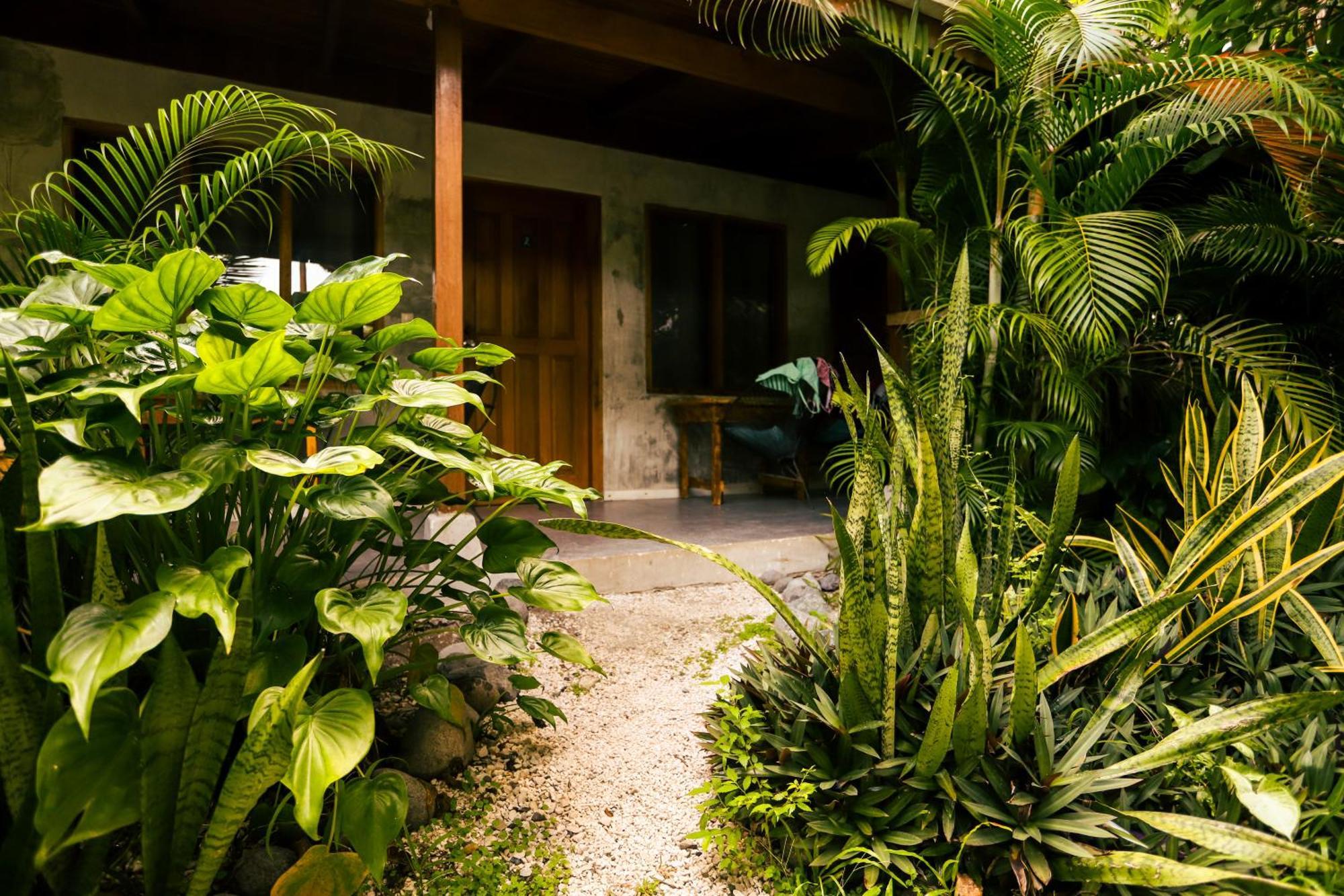 Cabinas Playa Surf Hostel Playa Santa Teresa  Eksteriør bilde